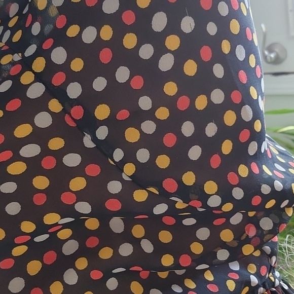 Pleione - Picture 5 of 8